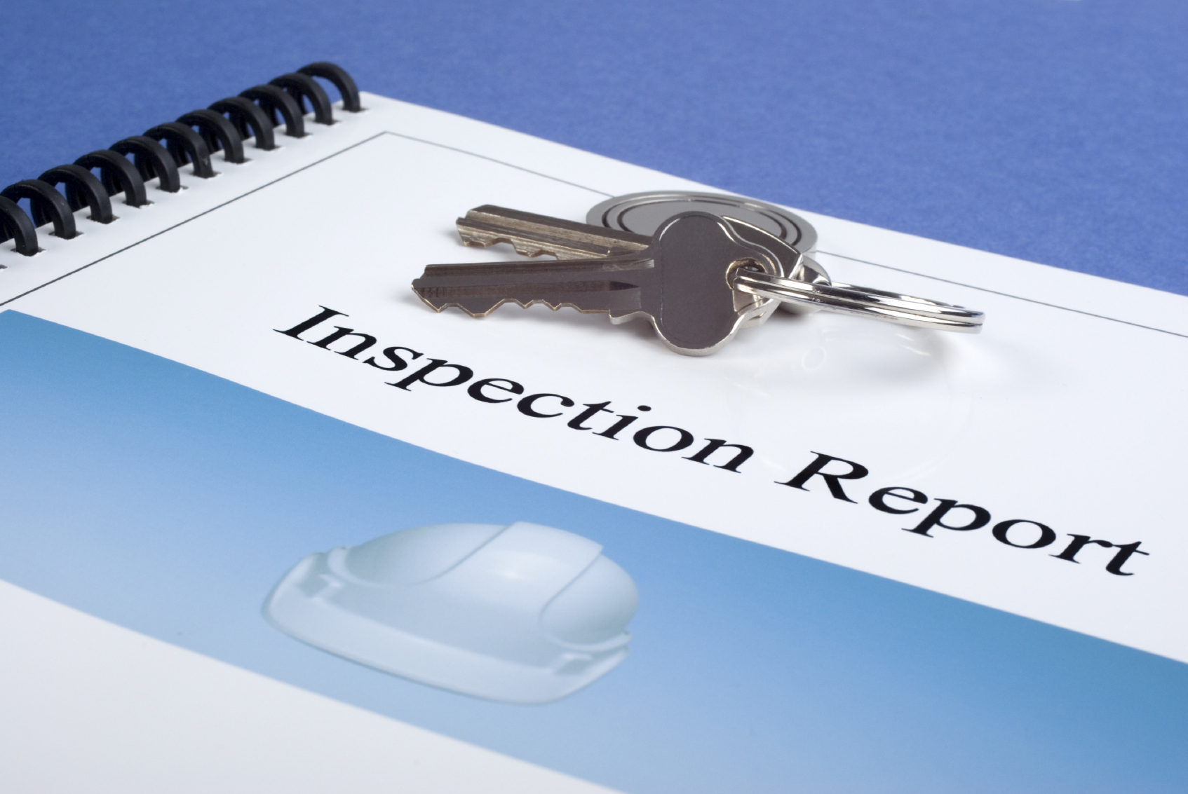 Inspection Report Image